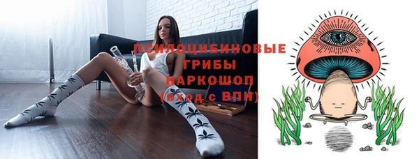гашик Медногорск