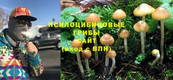 а пвп мука Медвежьегорск