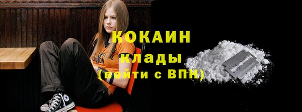 гашик Медногорск