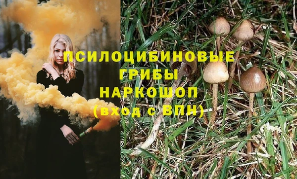 гашик Медногорск