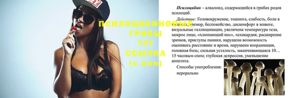 а пвп мука Медвежьегорск