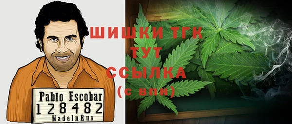 гашик Медногорск