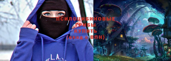 гашик Медногорск