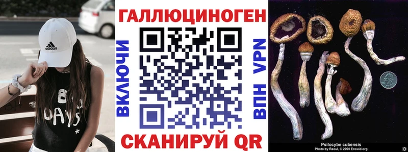 Купить где  Чкаловск  Галлюциногенные грибы Magic Shrooms 