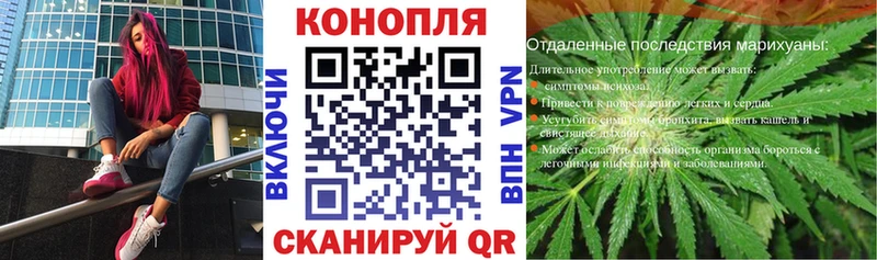 Купить закладки  Чкаловск  МАРИХУАНА план 